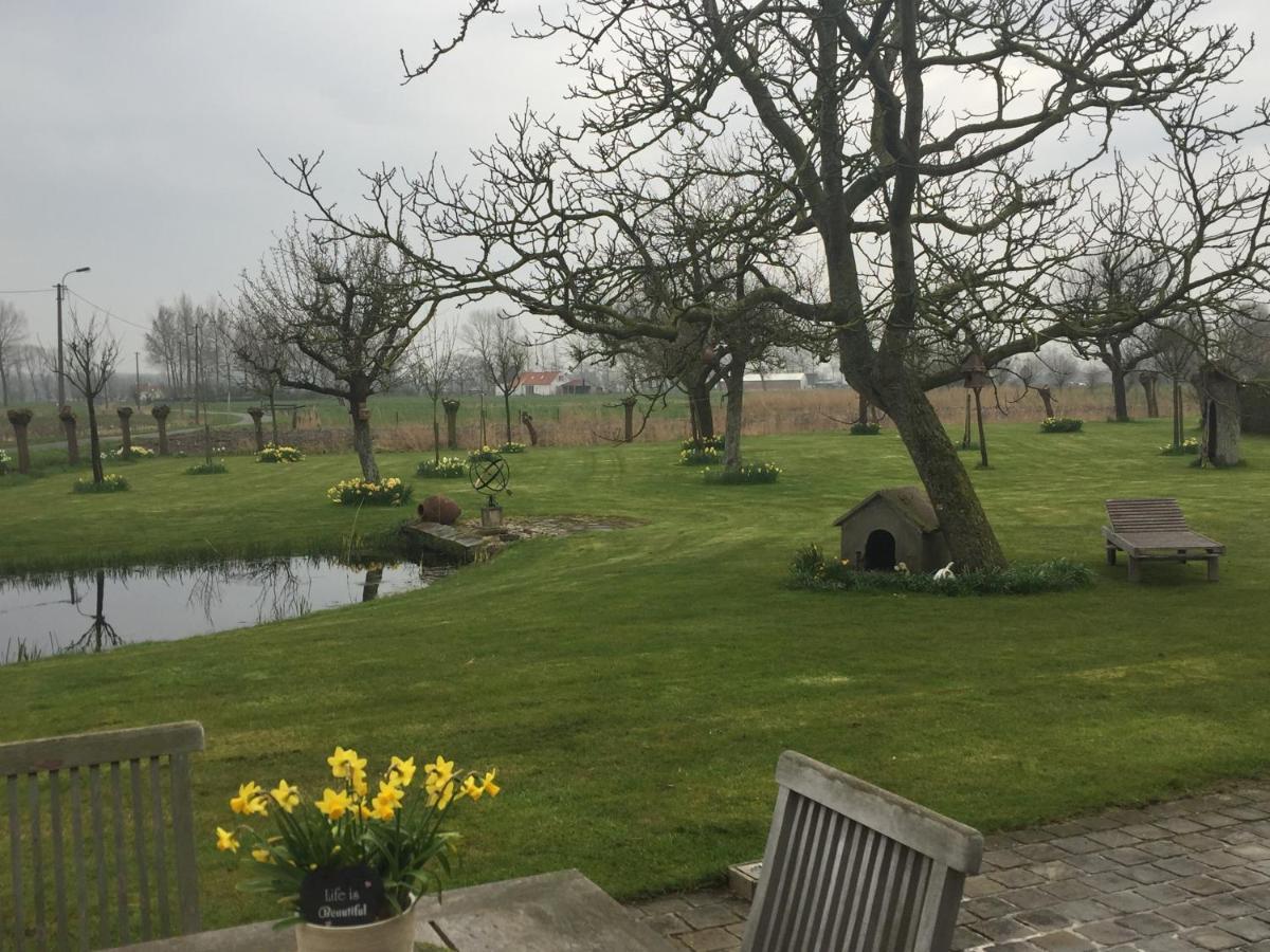 Logies De Meerkoet Brugge Bagian luar foto