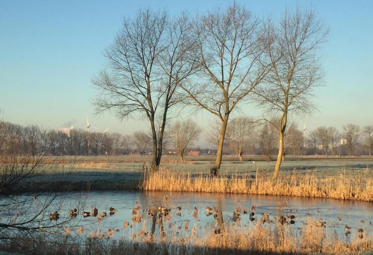 Logies De Meerkoet Brugge Bagian luar foto