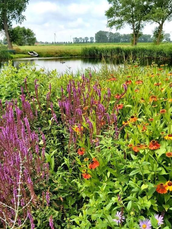 Logies De Meerkoet Brugge Bagian luar foto