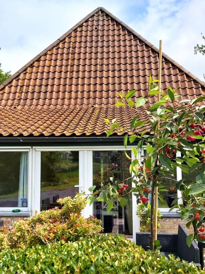 Logies De Meerkoet Brugge Bagian luar foto